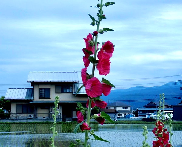 ochya0 instagram image archive image