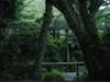 ochya0 Altpins Profile Picture