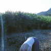 ochya0 Altpins Profile Picture
