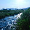 ochya0 Altpins Profile Picture