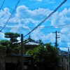 ochya0 Altpins Profile Picture