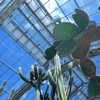 ochya0 Altpins Profile Picture