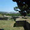 ochya0 Altpins Profile Picture