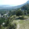 ochya0 Altpins Profile Picture