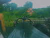 od3liya Altpins Profile Picture