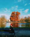 od3liya Altpins Profile Picture