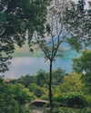 od3liya Altpins Profile Picture