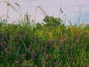 od3liya Altpins Profile Picture