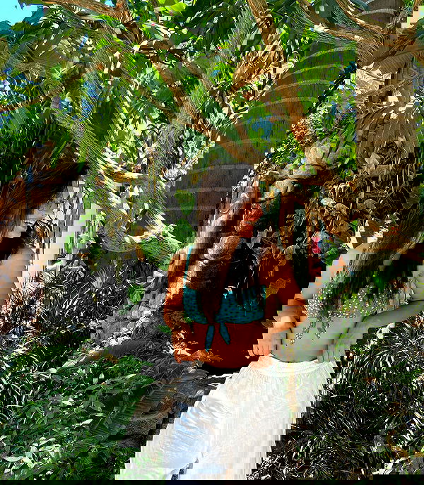 ofir.dg ofir.dg archive image