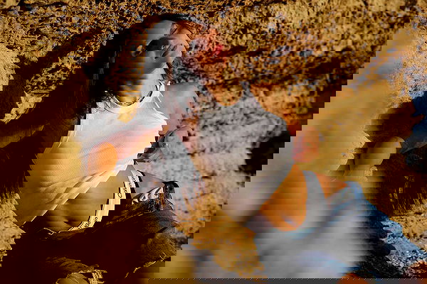 ofir.dg ofir.dg archive image