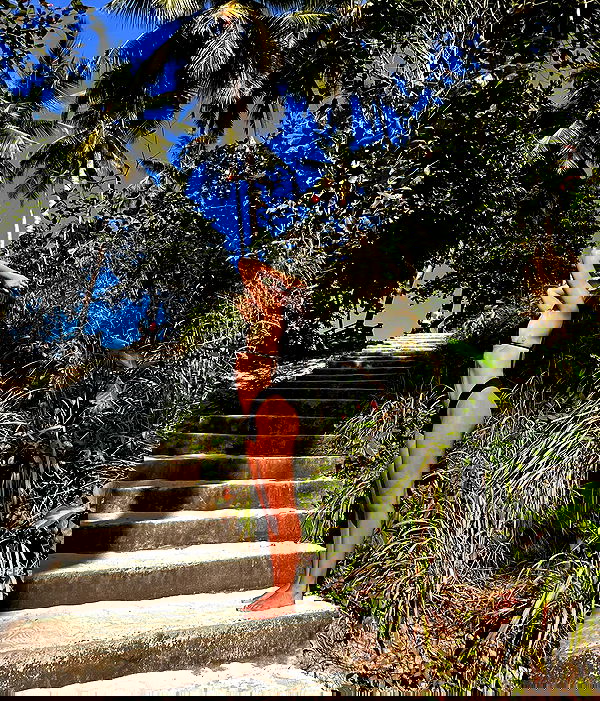 ofir.dg ofir.dg archive image