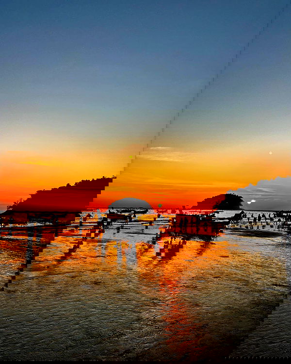 ofir.dg ofir.dg archive image