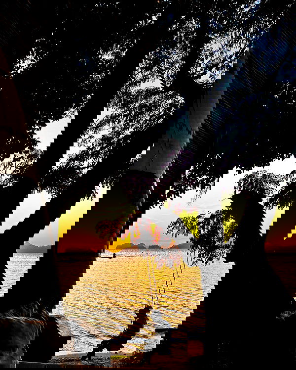 ofir.dg ofir.dg archive image