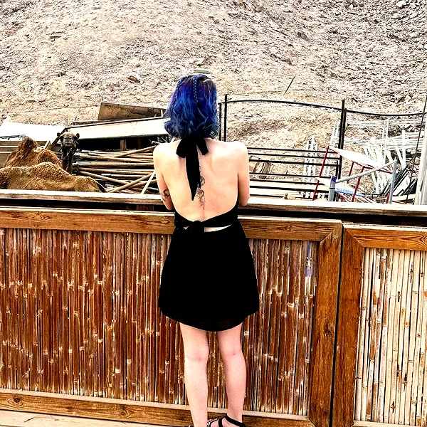 ofirzaif ofirzaif archive image