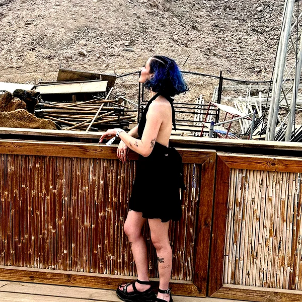 ofirzaif instagram image archive image