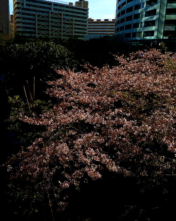 ogphos instagram image archive image
