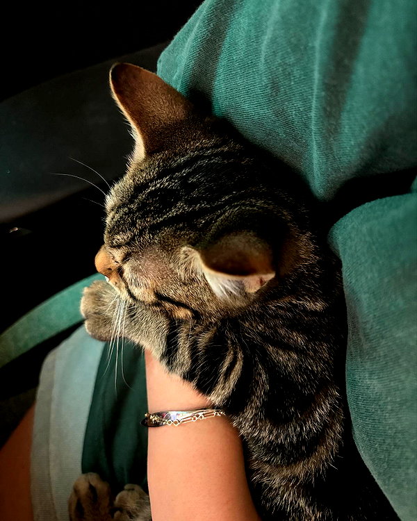 ogphos instagram image archive image