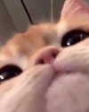 olivialiiias Altpins Profile Picture