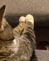 olivialiiias Altpins Profile Picture