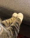 olivialiiias Altpins Profile Picture