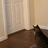 olivialiiias Altpins Profile Picture