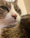 olivialiiias Altpins Profile Picture