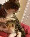 olivialiiias Altpins Profile Picture