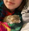 olivialiiias Altpins Profile Picture