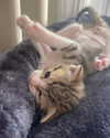 olivialiiias Altpins Profile Picture