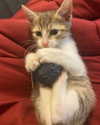 olivialiiias Altpins Profile Picture