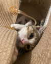 olivialiiias Altpins Profile Picture