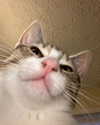 olivialiiias Altpins Profile Picture