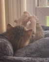 olivialiiias Altpins Profile Picture