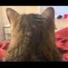 olivialiiias Altpins Profile Picture