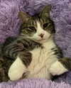olivialiiias Altpins Profile Picture