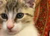 olivialiiias Altpins Profile Picture