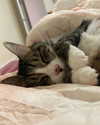 olivialiiias Altpins Profile Picture