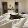 olivialiiias Altpins Profile Picture