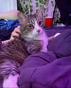 olivialiiias Altpins Profile Picture