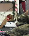 olivialiiias Altpins Profile Picture