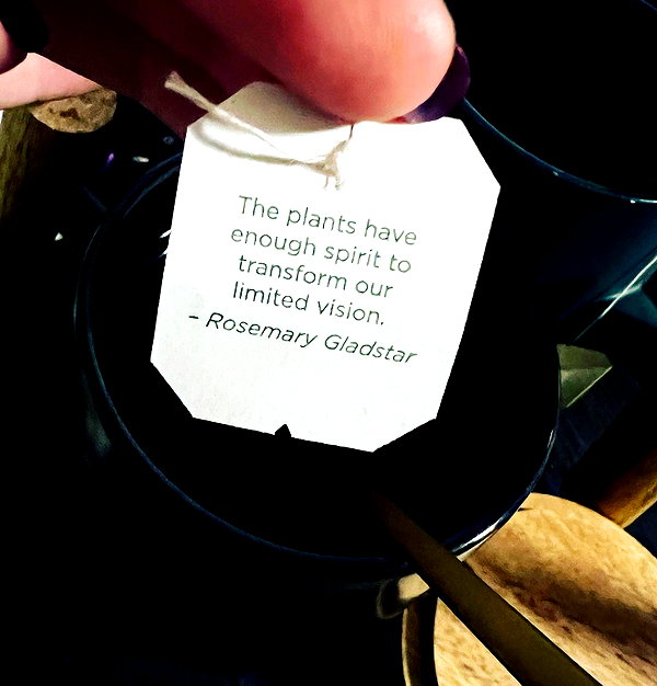 olivialiiias instagram image archive image