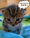 olivialiiias Altpins Profile Picture