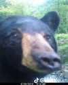 olivialiiias Altpins Profile Picture