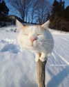 olivialiiias Altpins Profile Picture