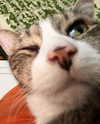 olivialiiias Altpins Profile Picture