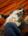 olivialiiias Altpins Profile Picture