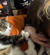 olivialiiias Altpins Profile Picture