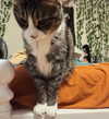 olivialiiias Altpins Profile Picture