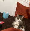 olivialiiias Altpins Profile Picture