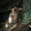olivialiiias Altpins Profile Picture